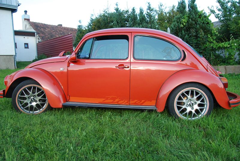 kaefer_orange 05.jpg